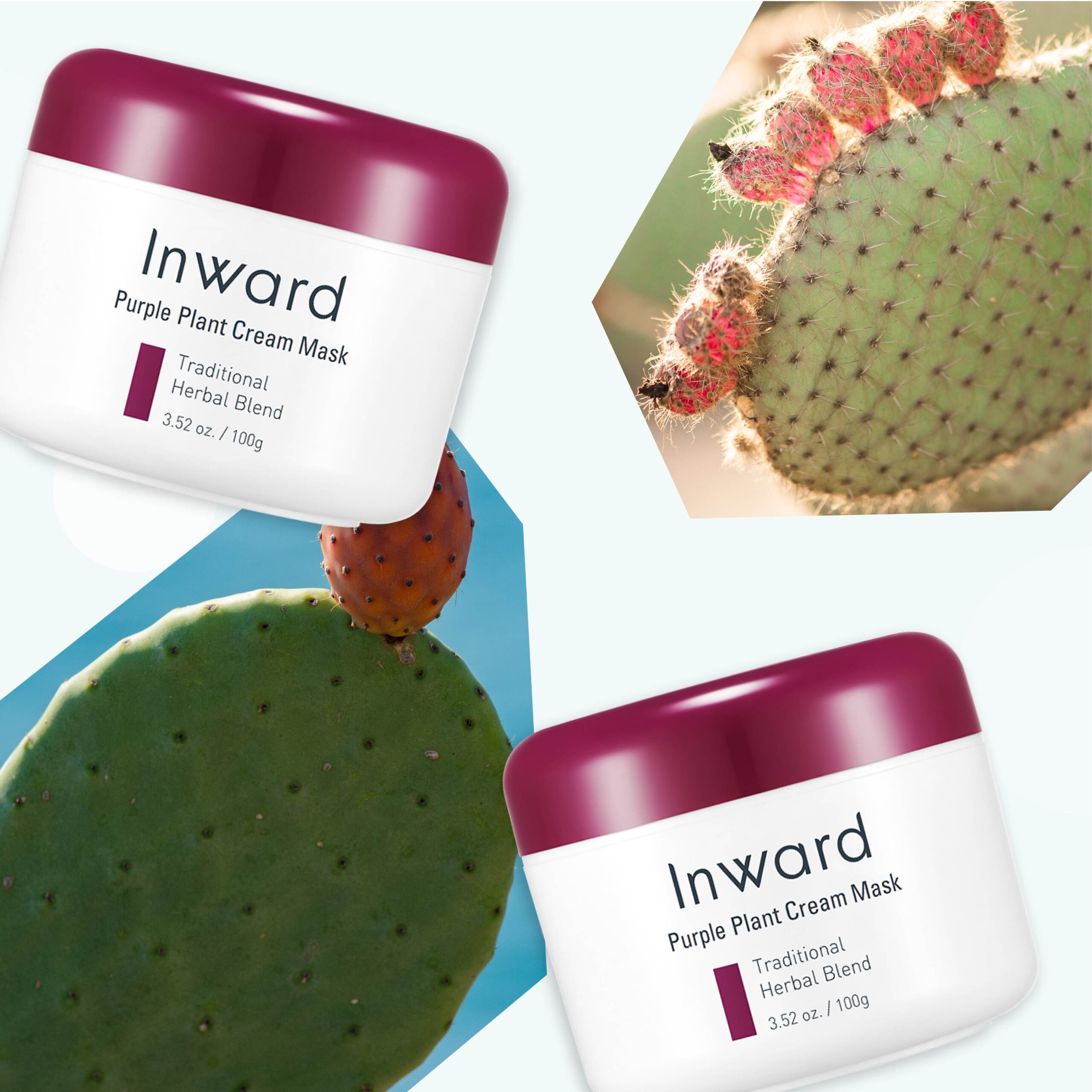 Ingredient Spotlight: Meet the Desert Grown Hydrating Skin Care Staple- The Prickly Pear